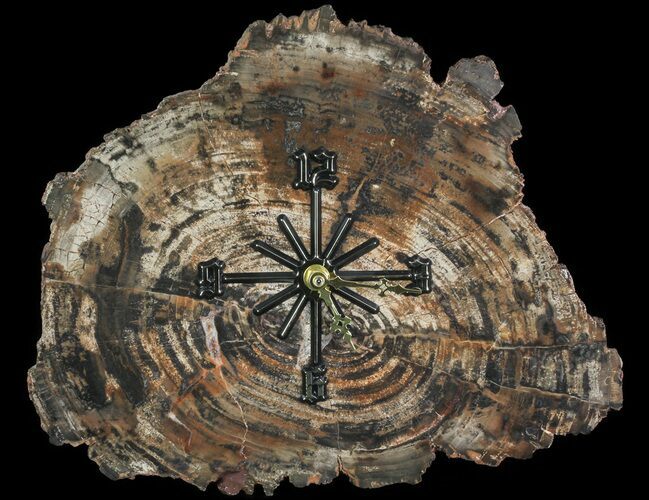 Wide Arizona Petrified Wood Clock #66831